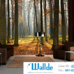 สั่งพิมพ์วอลเปเปอร์ ลายป่าไม้ 0015