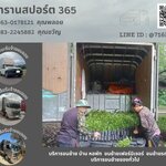 ขนย้ายทั้งที่เจ้านี้ถูกจริง รถรับจ้างพิษณุโลก พีที ทรานสปอร์ต365