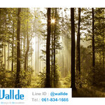 สั่งพิมพ์วอลเปเปอร์ ลายป่าไม้ 0010