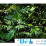 สั่งพิมพ์วอลเปเปอร์ ลายใบไม้ 0001