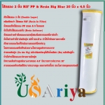 ไส้กรอง 2 ชั้น RIF PP & Resin Big Blue 20 นิ้ว x 4.5 นิ้ว