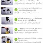 วิธีชงชา ชงชากับแก้วชงชาแบบกด