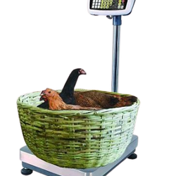 เครื่องชั่งคำนวนราคา (Pricing Floor Scale) Tiger TPI-01 Series