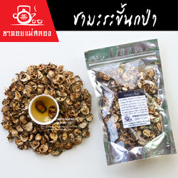 ชามะระขี้นกป่า