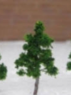 ต้นไม้ สูง 3.2 ซ.ม. / 50 ต้น