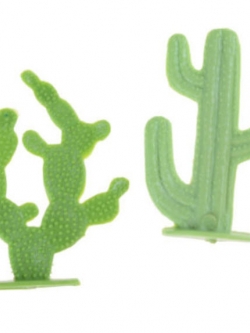 แคคตัส 2 แบบ ขนาด 6 - 7 ซ.ม. / แพ็คคู่