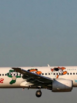 เครื่องบินโบอิ้งโปรโมทโอลิมปิค 2008 (สเกล 1:250)