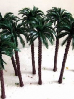 ต้นปาล์ม สูง 18 ซ.ม. / 5 ต้น