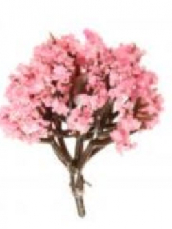 ต้นไม้ สูง 6.5 ซ.ม. / แพ็คคู่