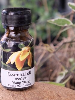 น้ำมันหอมระเหยกระดังงา Ylang Ylang Essential Oil