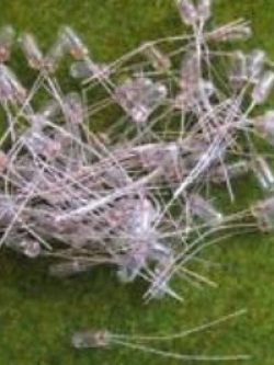 ชุดหลอดไฟ 3 ม.ม. 6.5 โวลต์ 25 ดวง