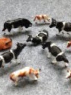 วัว คละแบบ (สเกล 1:87) / ชุด 10 ตัว