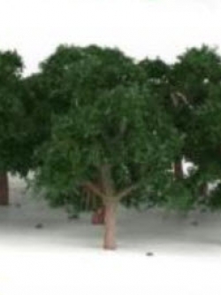 ต้นไม้ สเกล 1:300 สีเขียวเข้ม 25 ต้น 4 ซ.ม.