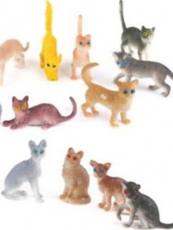 ชุดลูกแมว (Kitten) / ชุด 12 ตัว