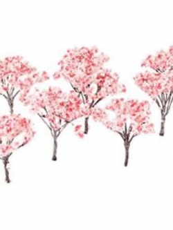 ต้นซากูระ (Sakura) สูง 6.5 ซ.ม. / 10 ต้น