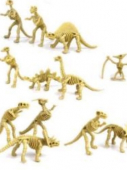 โครงกระดูกไดโนเสาร์ / 12 ตัว