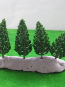 ต้นสน สูง 7.8 ซ.ม. / 10 ต้น
