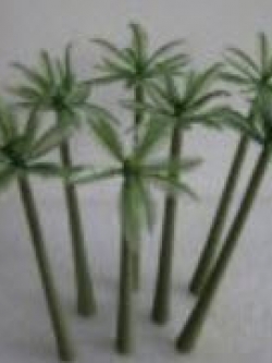 ต้นปาล์ม สูง 7 ซ.ม. / 10 ต้น