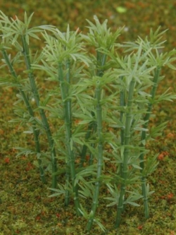 ต้นไผ่ (สเกล 1:200) สูง 8 ซ.ม. / 50 ต้น