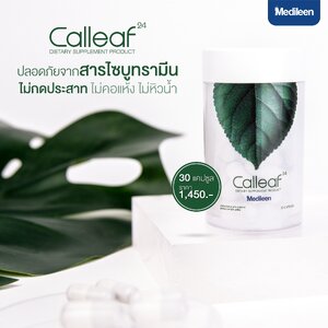 Calleaf วิธีทาน และ รวบรวมคำถามทั้งหมด