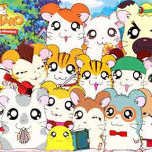 Hamtaro แฮมทาโร่ แก๊งจิ๋วผจญภัย