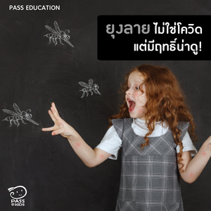 ยุงลายไม่ใช่โควิดแต่มีฤทธิ์น่าดู