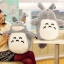 ตุ๊กตา totoro