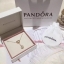 Pandora Necklace