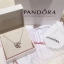 Pandora Necklace