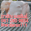 ช้างหินอ่อนขนาด120เซนติเมตรราคาคู่ละ