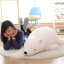 หมอนตุ๊กตา หมีขั้วโลก