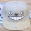 หมวก ลาย Totoro