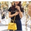 Dolly Kelly Bag