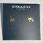 Coach Horse and Carriage Earrings