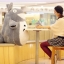 ตุ๊กตา totoro