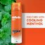 Gillette Pro Icy Cool Shaving Gel Menthol 195g เจลโฟมโกนหนวดสูตรเย็นพิเศษสินค้านำเข้าจากออสเตรเลียของแท้พร้อมส่ง