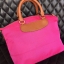 Teenie Weenie Bear Bags