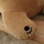 หมอนตุ๊กตา หมีขั้วโลก