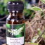 น้ำมันหอมระเหยราชาวดี Butterfly Bush Essential Oil