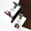 Protein Plant by Medileen โปรตีนทดแทนมื้ออาหาร สองกล่องฟรีแก้วเชค