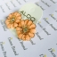 Aldo Flower Earring