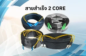 สายสำเร็จ 2 CORE