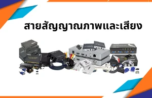 สายสัญญาณภาพและเสียง