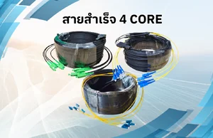 สายสำเร็จ 4 CORE