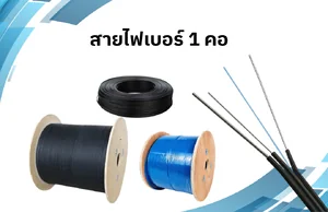1 CORE