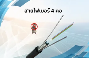 4 CORE