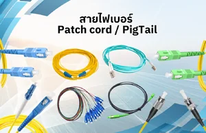 สายไฟเบอร์ Patch cord / PigTail