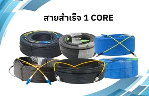 สายสำเร็จ 1 CORE