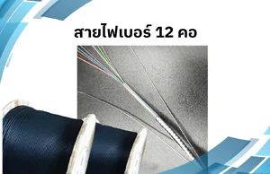 12 CORE