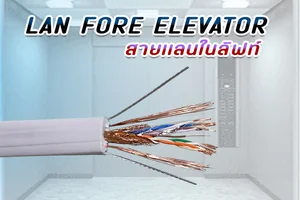 Lan For Lift ( สายแลนในลิฟท์ )